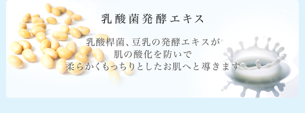 乳酸菌発酵エキス 乳酸桿菌、豆乳の発酵エキスが肌の酸化を防いで柔らかくもっちりとしたお肌へと導きます