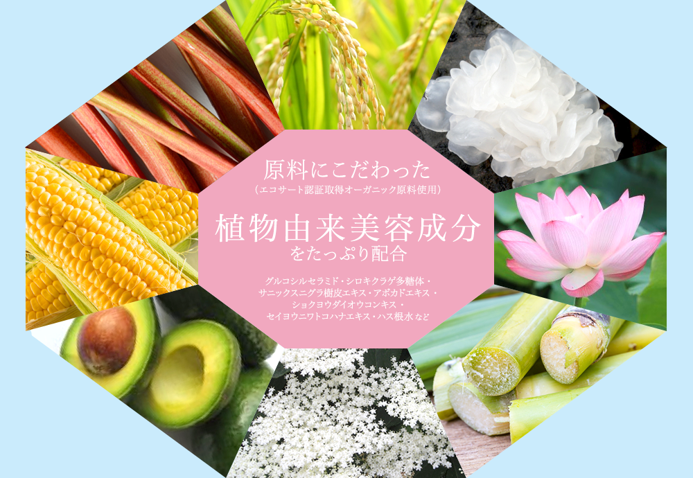 原料にこだわった（エコサート認証取得オーガニック原料使用）植物由来美容成分をたっぷり配合合 グルコシルセラミド・シロキクラゲ多糖体・サニックスニグラ樹皮エキス・アボカドエキス・ショクヨウダイオウコンキス・セイヨウニワトコハナエキス・ハス根水など
