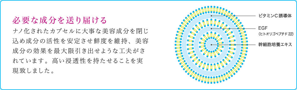 必要な成分を送り届ける ナノ化されたカプセルに大事な美容成分を閉じ込め成分の活性を安定させ鮮度を維持、美容成分の効果を最大限引き出せような工夫がされています。高い浸透性を持たせることを実現致しました。