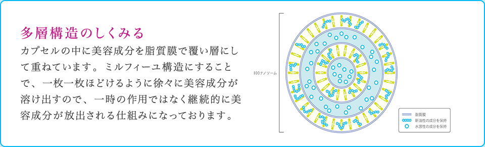 多層構造のしくみる カプセルの中に美容成分を脂質膜で覆い層にして重ねています。ミルフィーユ構造にすることで、一枚一枚ほどけるように徐々に美容成分が溶け出すので、一時の作用ではなく継続的に美容成分が放出される仕組みになっております。
