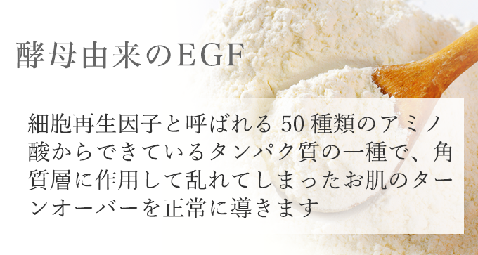 酵母由来のEGF 細胞再生因子と呼ばれる50種類のアミノ酸からできているタンパク質の一種で、角質層に作用して乱れてしまったお肌のターンオーバーを正常に導きます