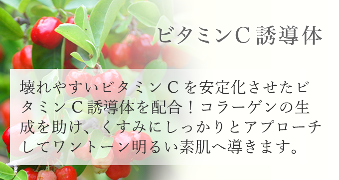 ビタミンC誘導体 壊れやすいビタミンCを安定化させたビタミンC誘導体を配合！コラーゲンの生成を助け、くすみにしっかりとアプローチしてワントーン明るい素肌へ導きます。