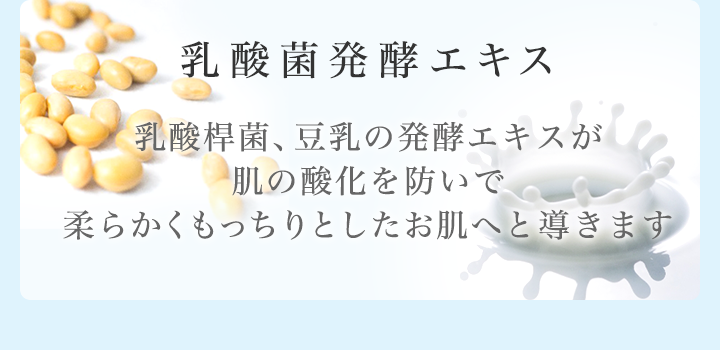 乳酸菌発酵エキス 乳酸桿菌、豆乳の発酵エキスが肌の酸化を防いで柔らかくもっちりとしたお肌へと導きます