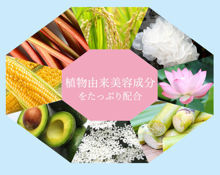 植物由来美容成分をたっぷり配合