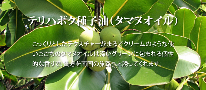 肌バリア向上成分