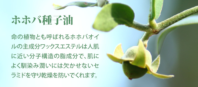 角質層が乱れて水分が蒸発し乾燥肌に... セラミドの不足｜セラミドが角質細胞同士をしっかり結びつけお肌の水分蒸発を防ぎます 潤い成分ヒアルロン酸で表面をしっかりベール
